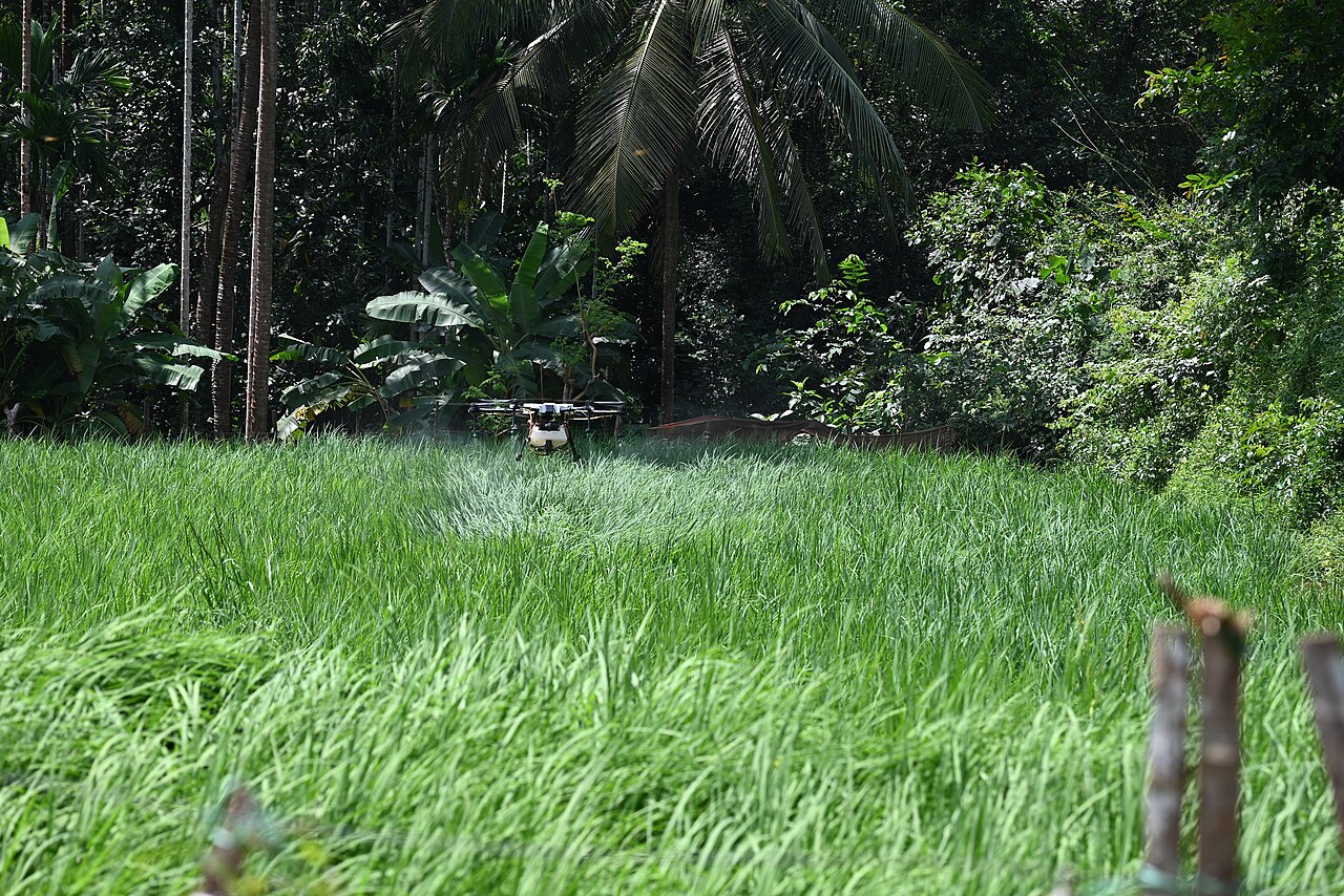 Seeds From the Sky: How Tree-Planting Drones Are Speeding Up Reforestation