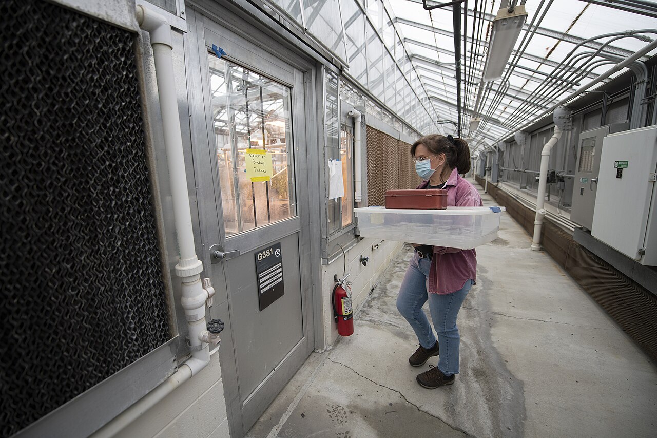 The Strawberry Test: Robots Finally Reach the Field in 2026
