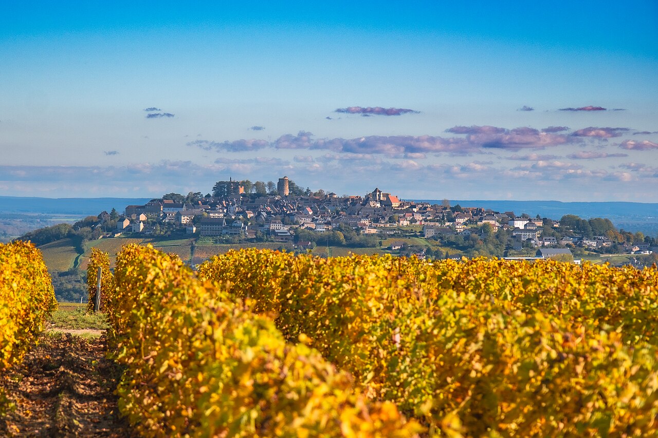 Robots Among the Vines: How Grand Cru Wine Became a Testbed for Agricultural Robotics